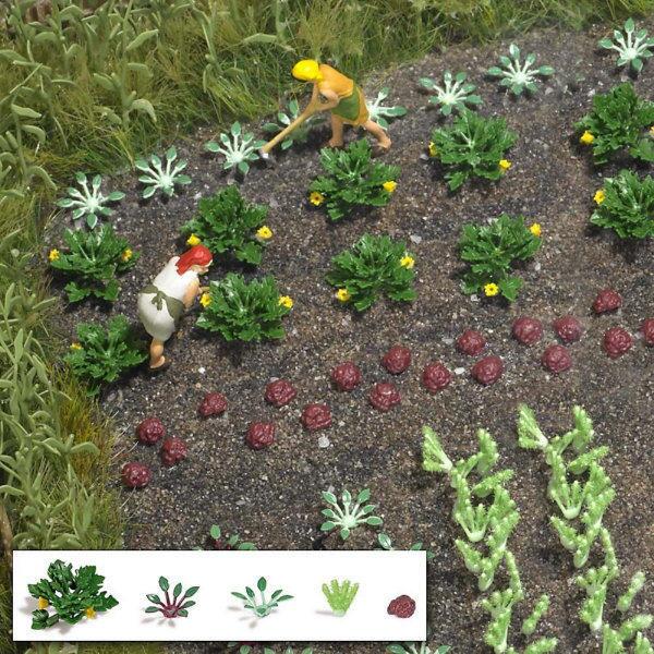 Plants & Flowers