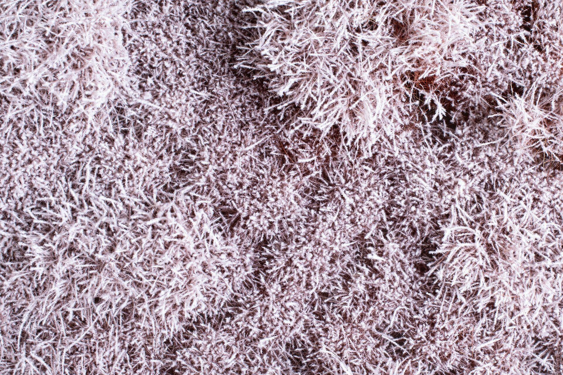 AUHAGEN 70903 Bushes / shrubs snowy 4-30 mm