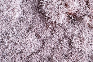 AUHAGEN 70903 Bushes / shrubs snowy 4-30 mm