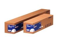 Epson - C13S042408