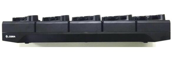 Zebra - CRD-NWTRS-10SCH-02