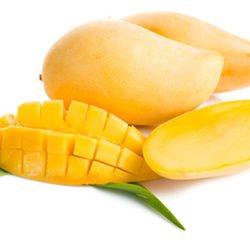 The Flavour Apprentice Philippine Mango Concentrate
