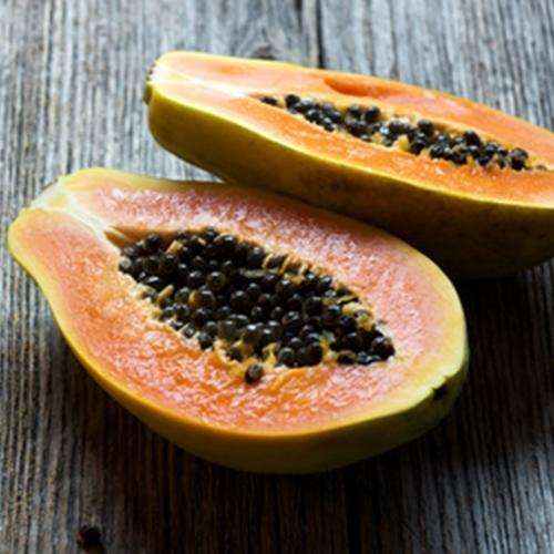 The Flavour Apprentice Papaya Concentrate