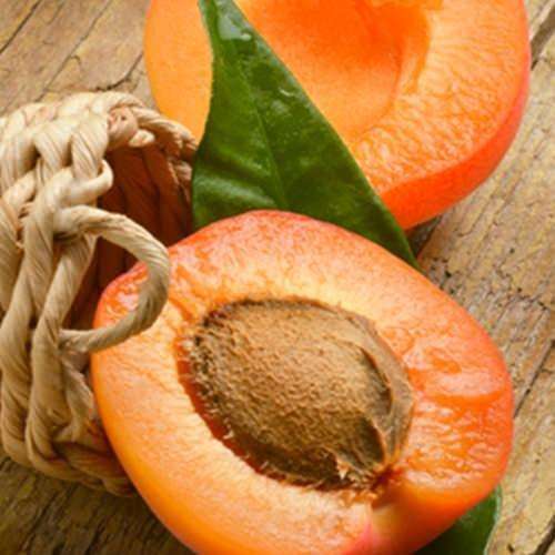 The Flavour Apprentice Apricot Concentrate