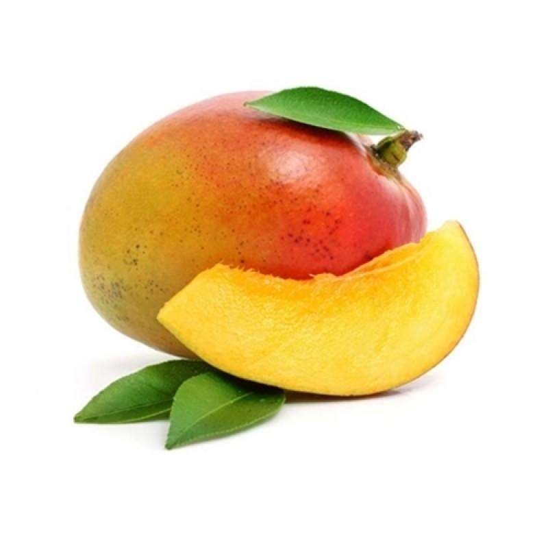 The Flavour Apprentice Mango Concentrate
