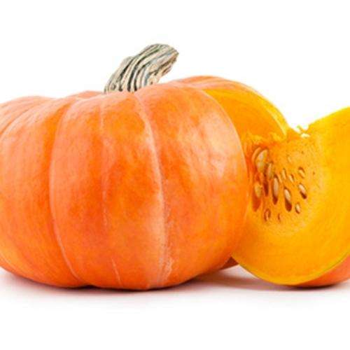 The Flavour Apprentice Pumpkin Concentrate