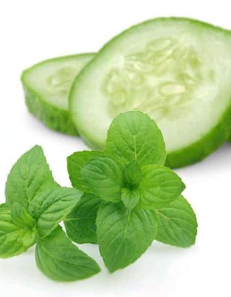 Flavour West Cucumber Mint Concentrate