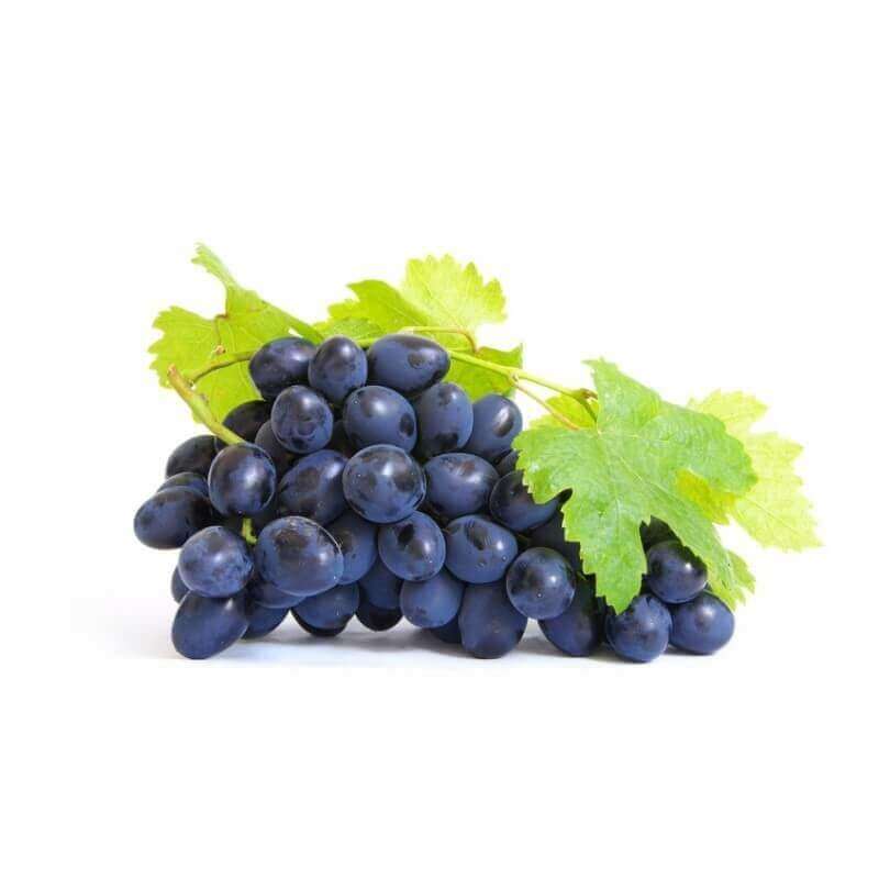 Flavour West Grape Concentrate