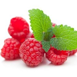 The Flavour Apprentice Raspberry Sweet Concentrate