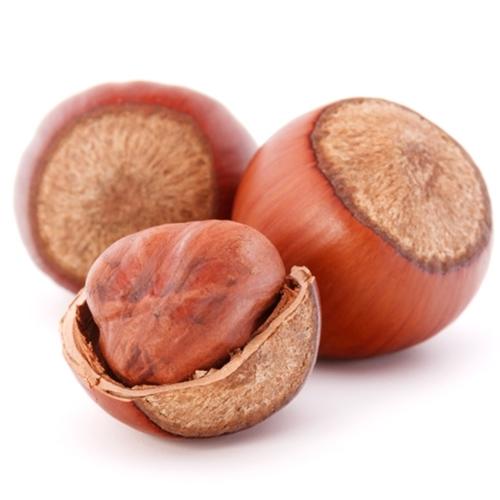 The Flavour Apprentice Hazelnut Concentrate