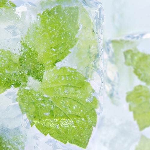 The Flavour Apprentice Menthol Liquid PG Concentrate