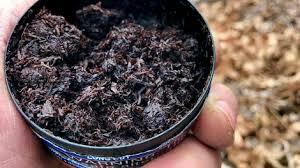 Can ZYNs & Nicotine Pouches Cause Gum Disease? (Updated Guide)