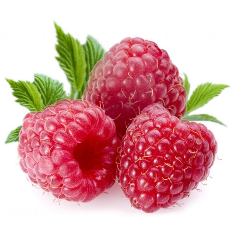 Flavor West Raspberry Concentrate