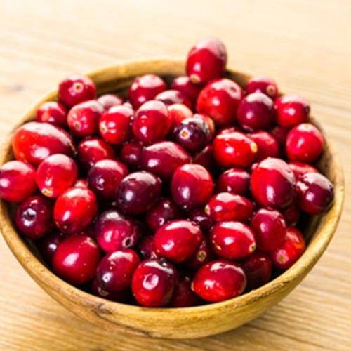 The Flavour Apprentice Cranberry Concentrate