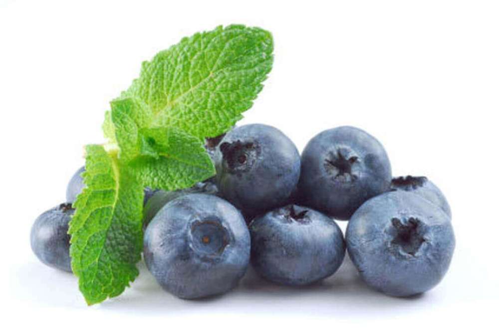 Blueberry Mint High Strength Concentrate - 10ml