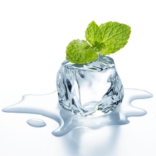 The Flavour Apprentice Wintergreen Concentrate