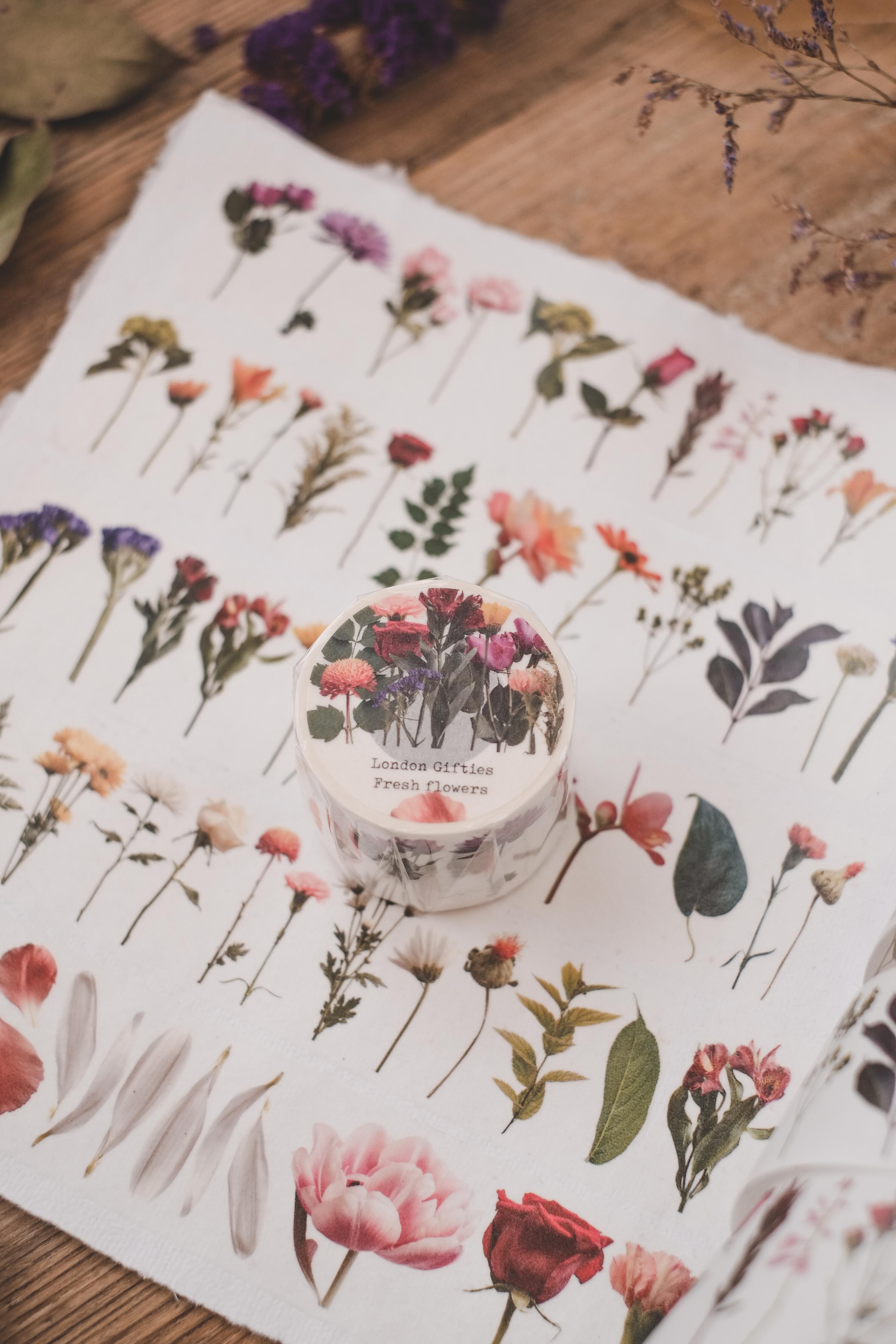 Elegant flower and leaves illustrations 3 rolls limited edition Washi tape
