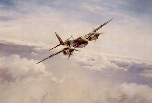 Mosquito by Robert Taylor - Classified