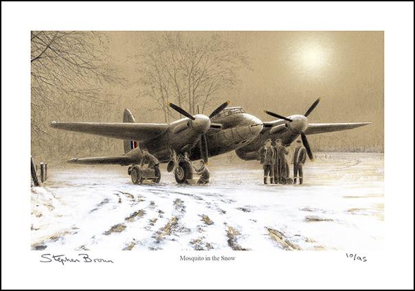 Mosquito in the Snow - LE54