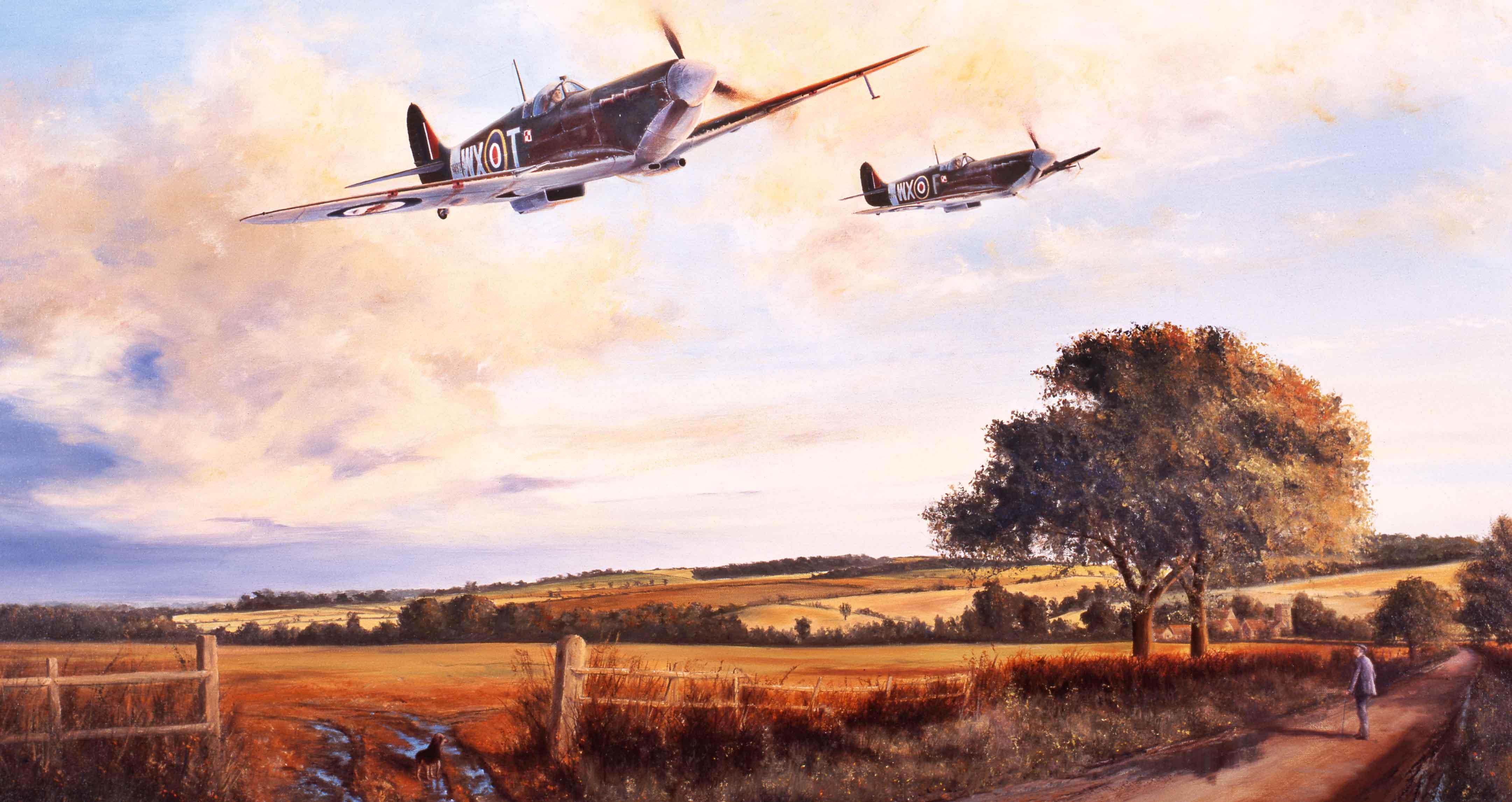 Spitfires of 309 Squadron by Stephen Brown