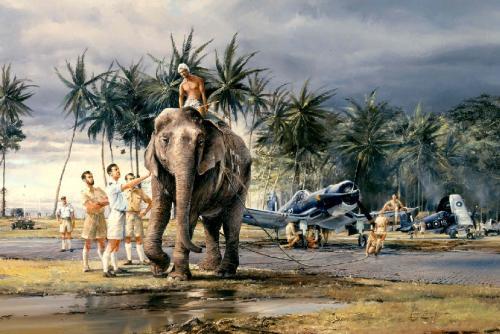 Puttalam Elephants by Robert Taylor - Fleet Air Arm Folio