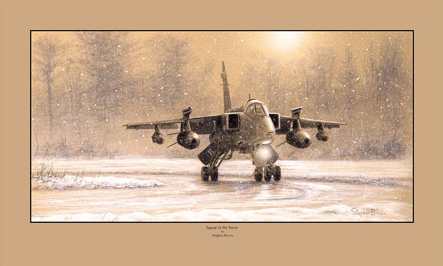 Jaguar in the Snow by Stephen Brown