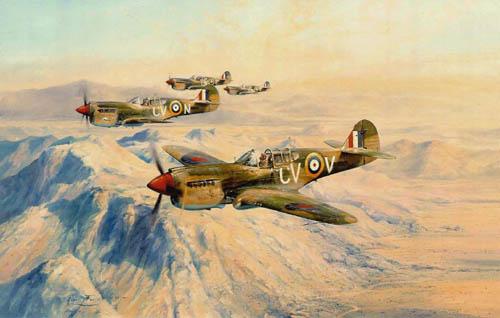 Desert Hawks by Robert Taylor