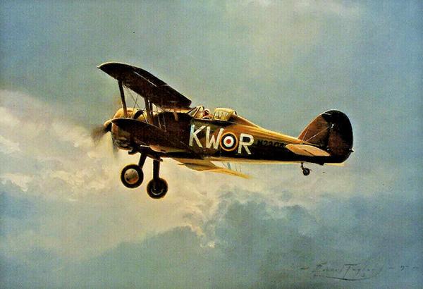 Gloster Gladiator by Robert Taylor