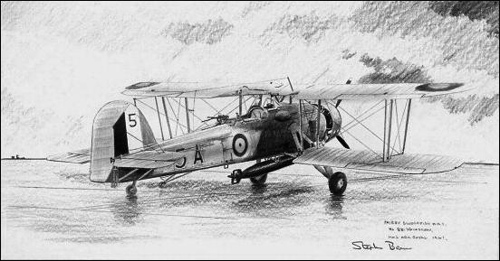 Swordfish of 821 Squadron by Stephen Brown - Original Drawing