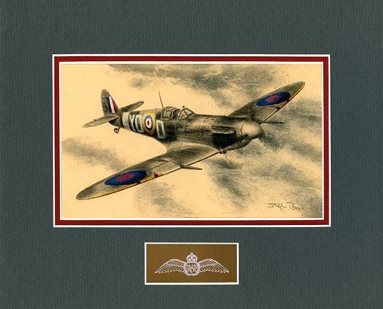 Spitfire Vb of 401 Squadron by Stephen Brown - Original Drawing