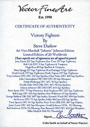 VICTORY FIGHTERS The Veterans Story by Steve Darlow - Limited Edition