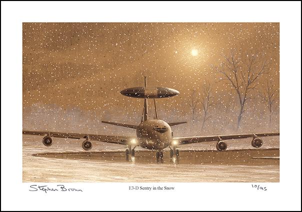 E-3D Sentry in the Snow - LE63