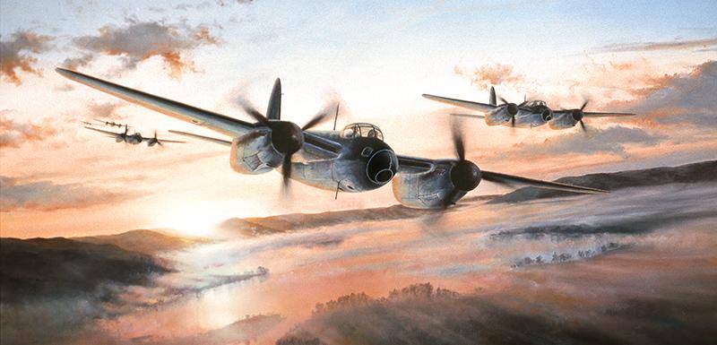 Mosquito Mission by Stephen Brown - Mosquito Greetings Card M217
