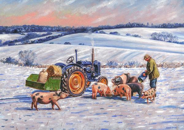 Frosty Trotters - Farming Christmas Card F011