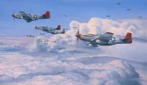 Fighting Red Tails by Robert Taylor