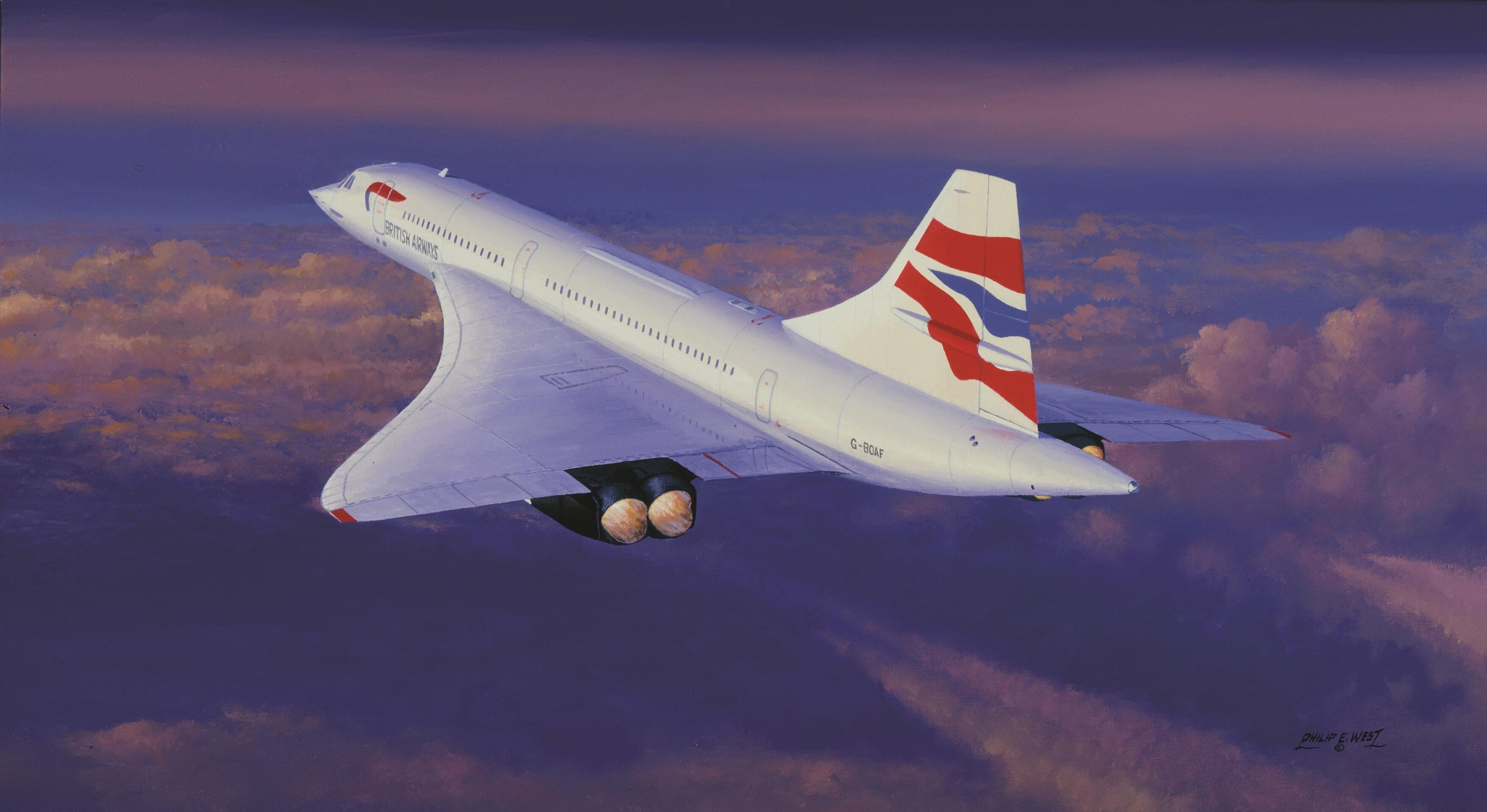 New York's Daily Visitor by Patricia Forrest - Concorde Greetings Card