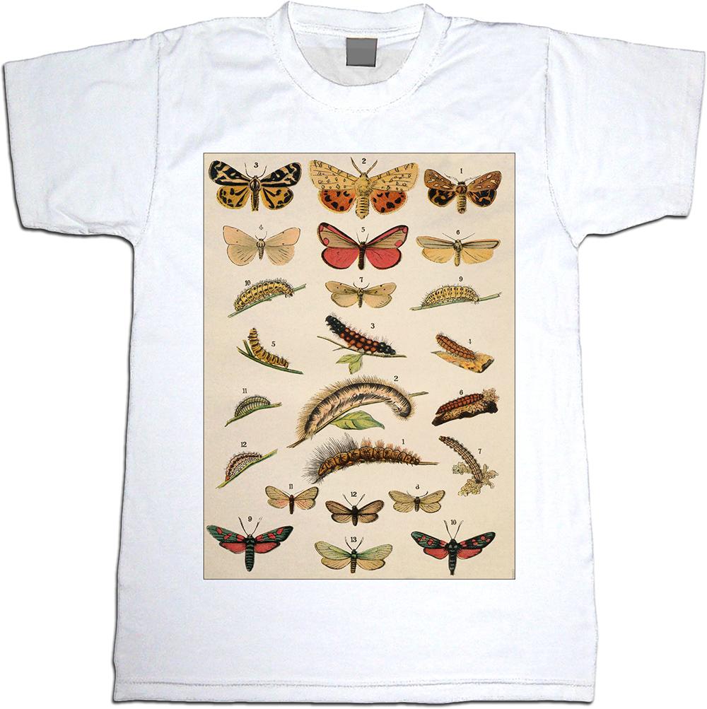 Butterflys And Caterpillars : Art Print £7.99 / Framed Print £22.99 / T ...