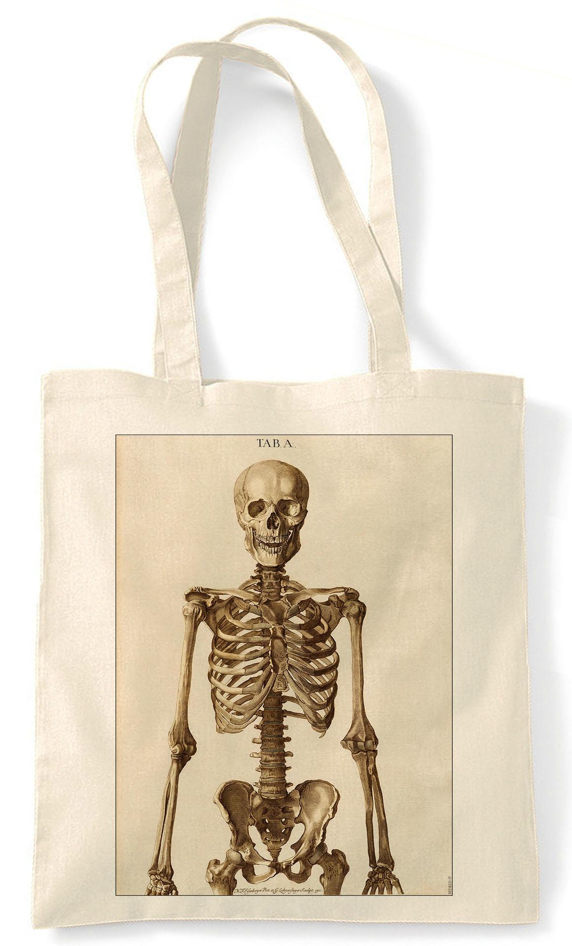 Skeleton Anatomy Medical Plate : Art Print £7.99 / Framed Print £22.99 ...