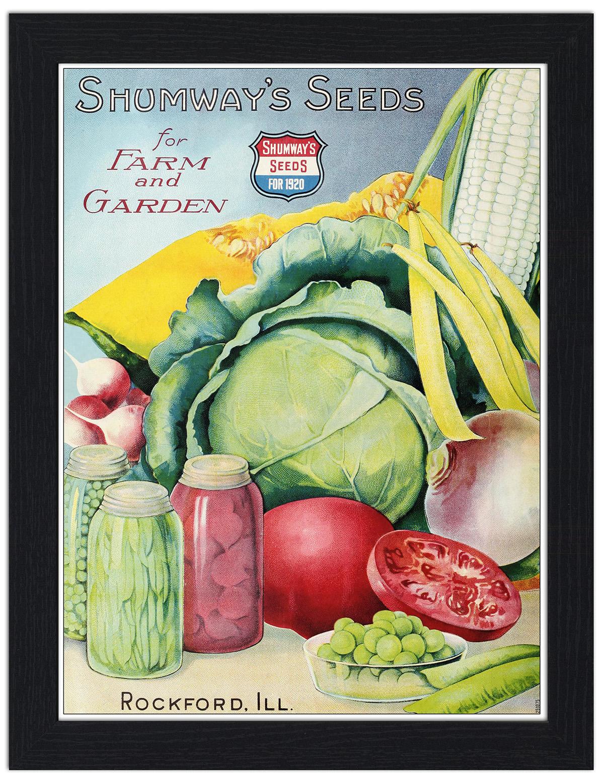 Shumways Seeds, Vintage Gardening Art Print £7.99 / Framed Print £22.