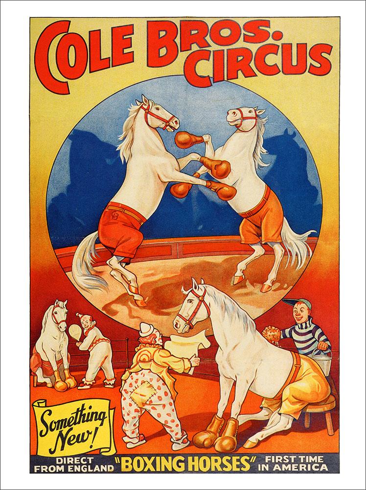 Cole Bros Circus Poster, Boxing Horses : Art Print £7.99 / Framed Print ...