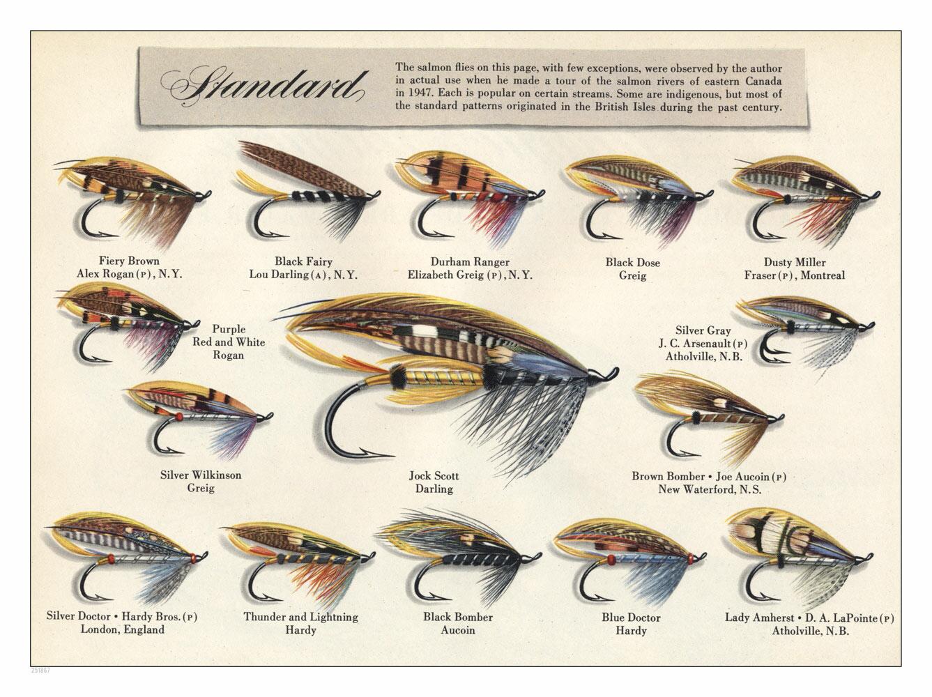 Fishing Fly Designs From 1947 : Art Print £7.99 / Framed Print