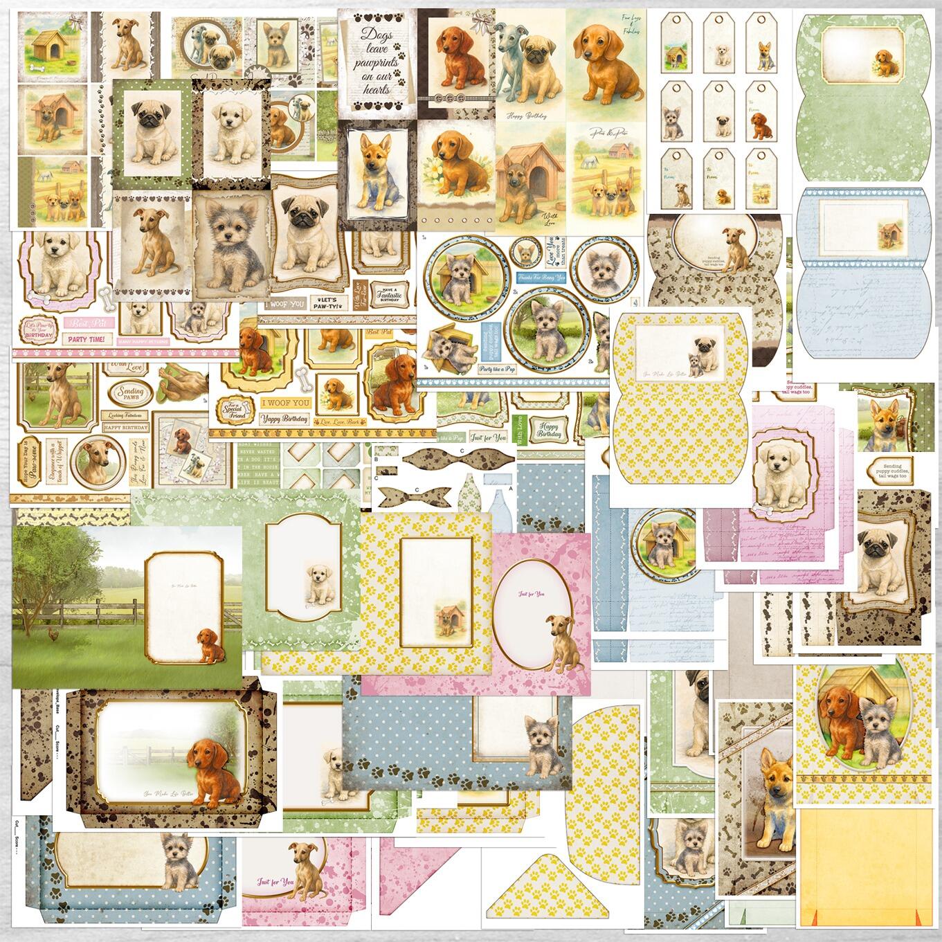 CD01 Inky Paws Multibuy Cardmaking Kit with Forever Code