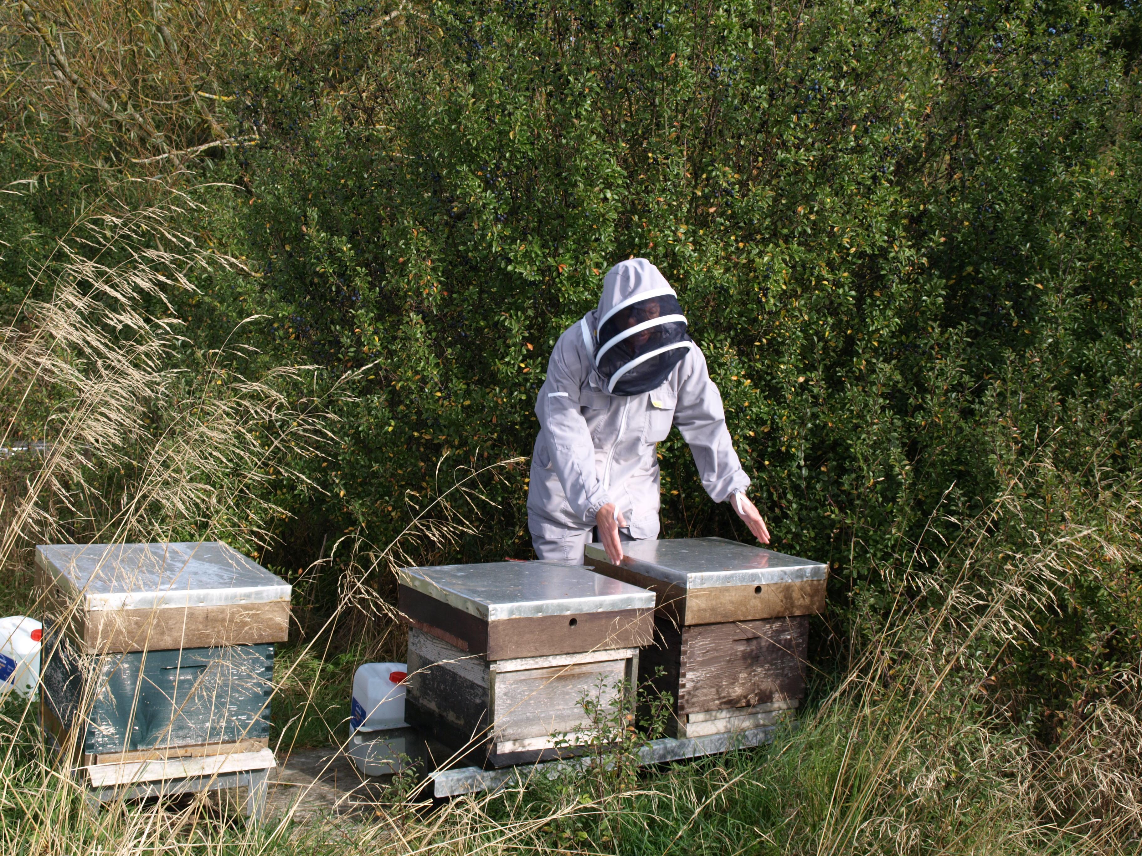 Beekeeper Feeding