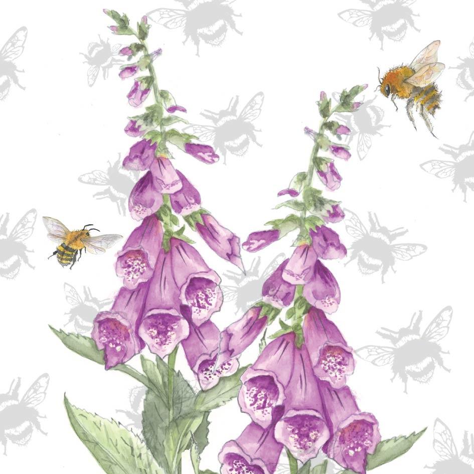 Foxglove Honeybee Card