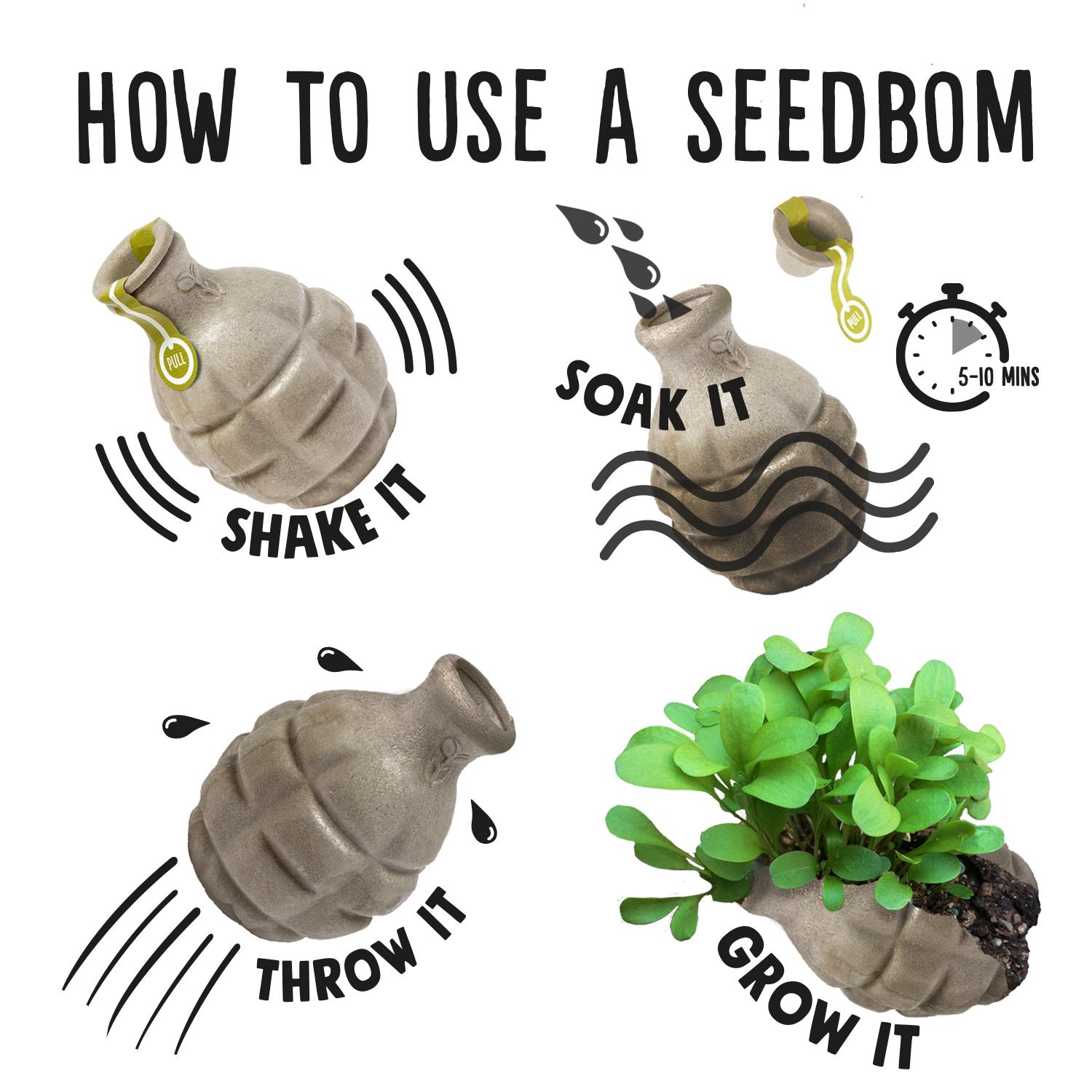 seedbom-how-to.jpg