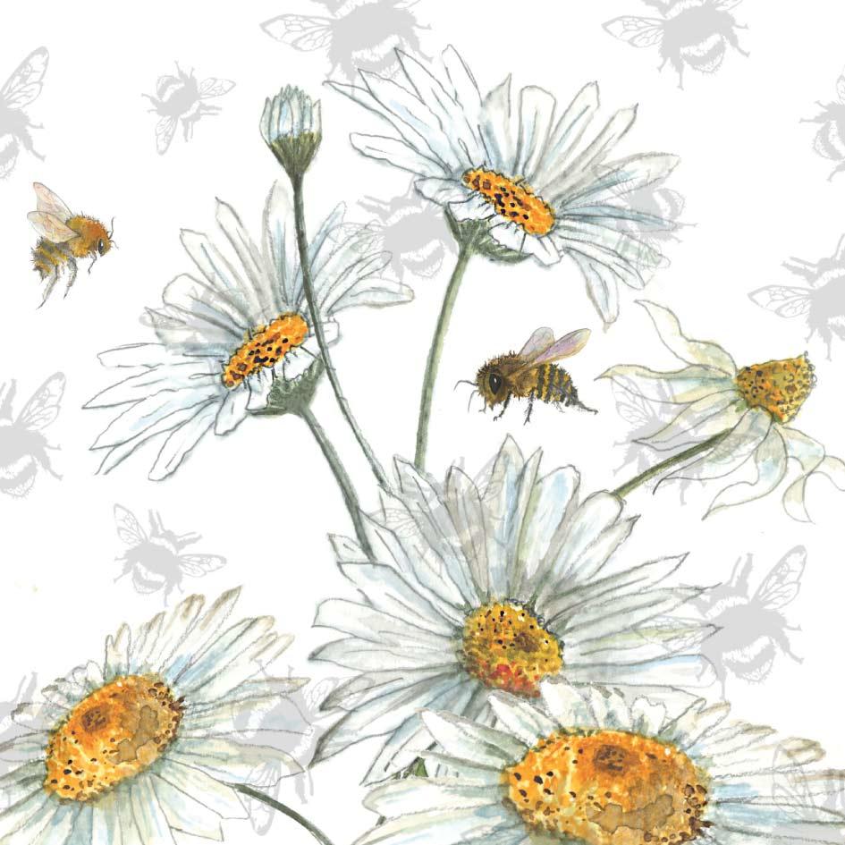 Daisy Honeybee Card