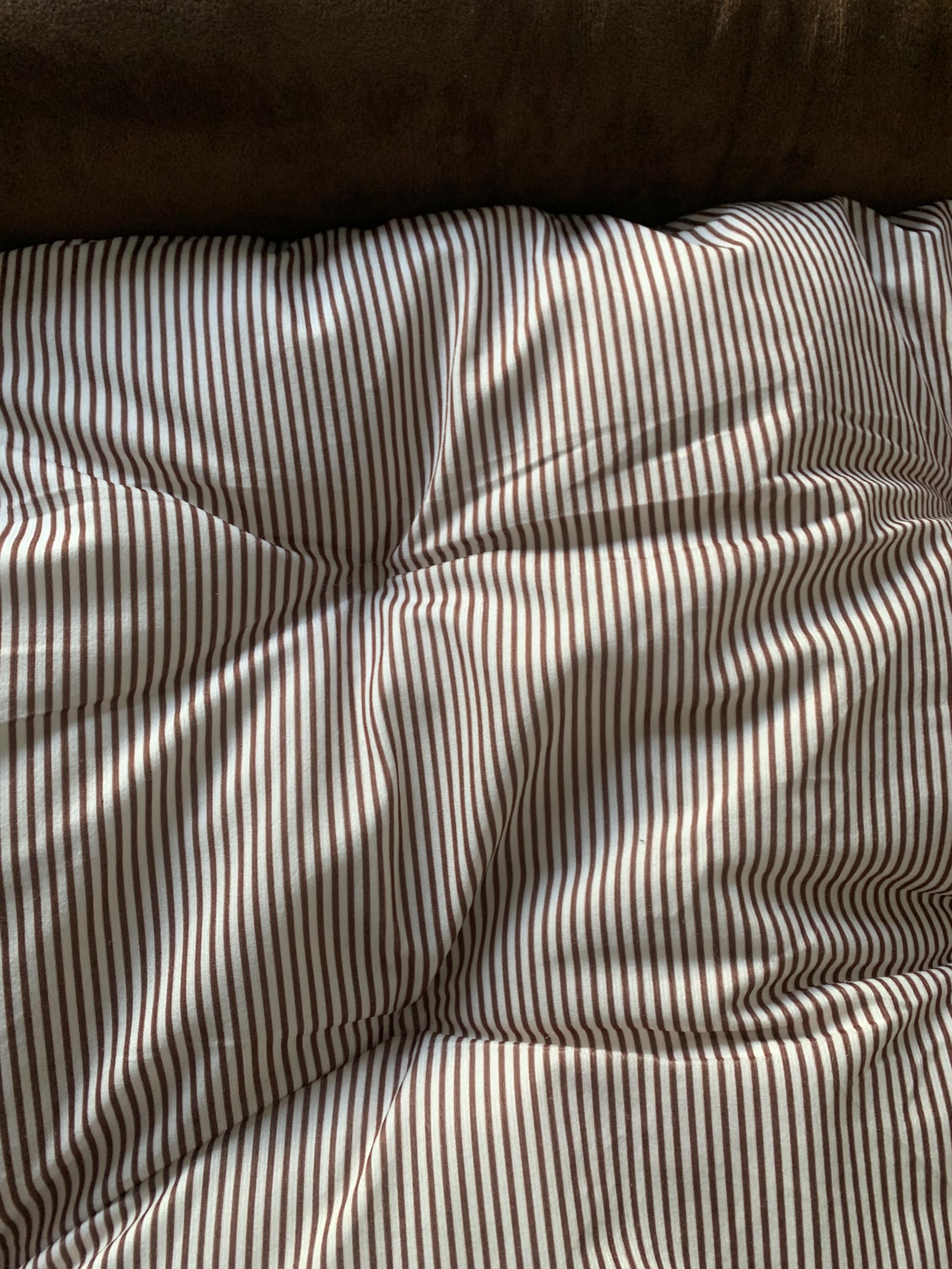 Close up of striped dog bed cushion