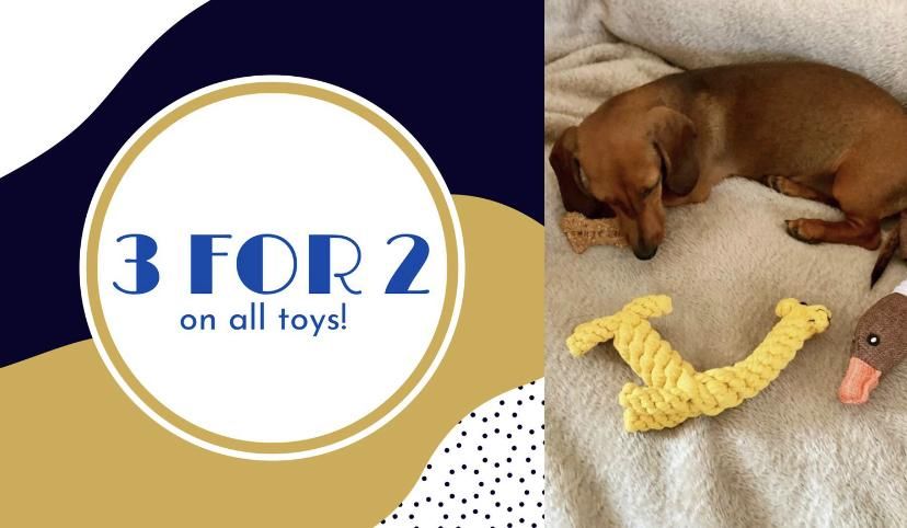 BECAUSE YOU CAN NEVER HAVE TOO MANY TOYS!  3 FOR 2 ACROSS ALL TOYS!|click here to shop!