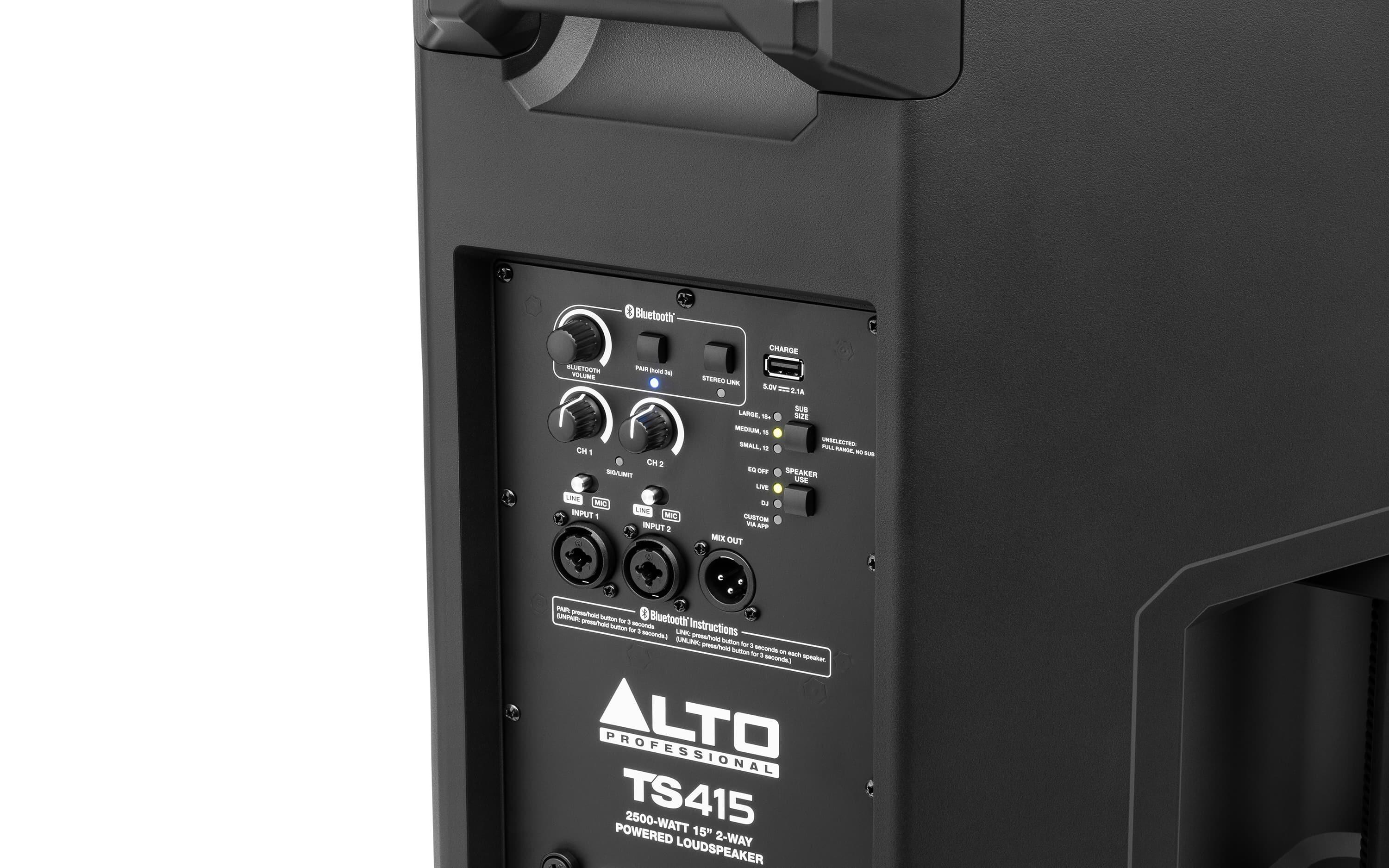 Alto Professional TS415 inputs