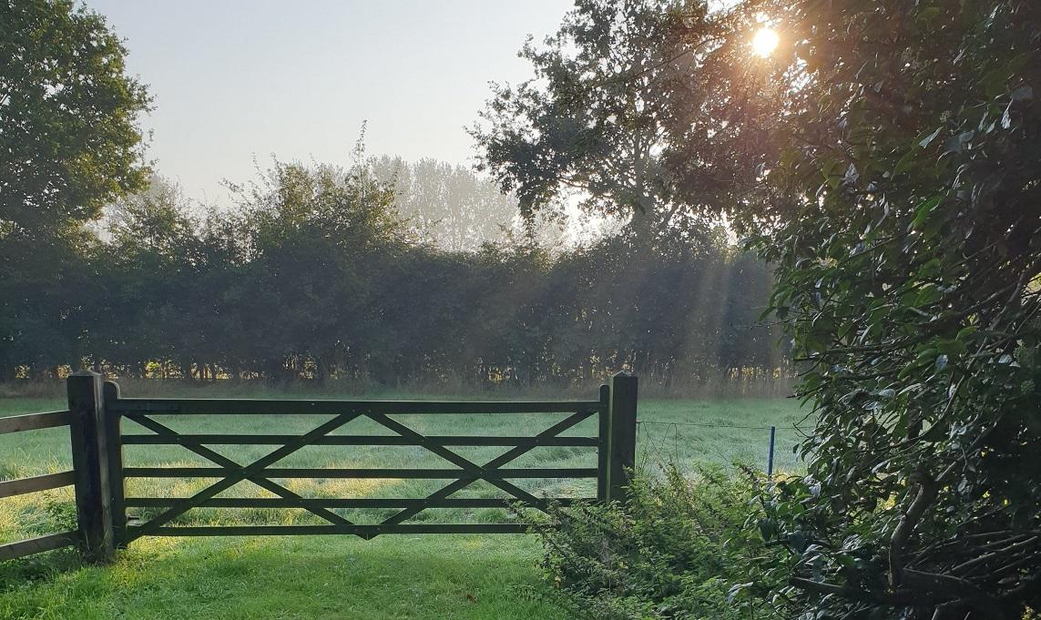 Morning sunrise over field gate.